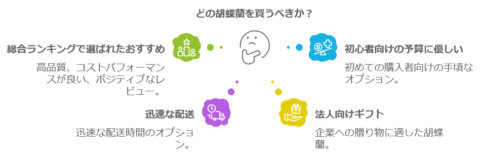 胡蝶蘭通販ランキング：おすすめ